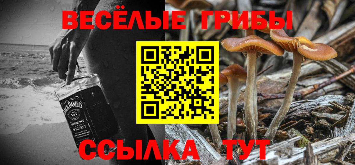 Галлюциногенные грибы MAGIC MUSHROOMS  Вход с VPN  Кашира 