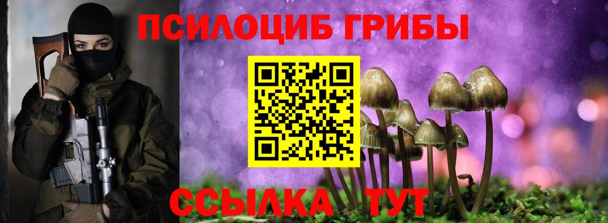 Галлюциногенные грибы прущие грибы Кашира